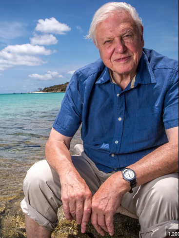 David Attenborough in a light blue shirt and khaki rolled up trousers sitting on a beige-yellow coloured rock with the sea, a similar coloured peninsula, but with tropical vegetation and a deep blue sky in the background